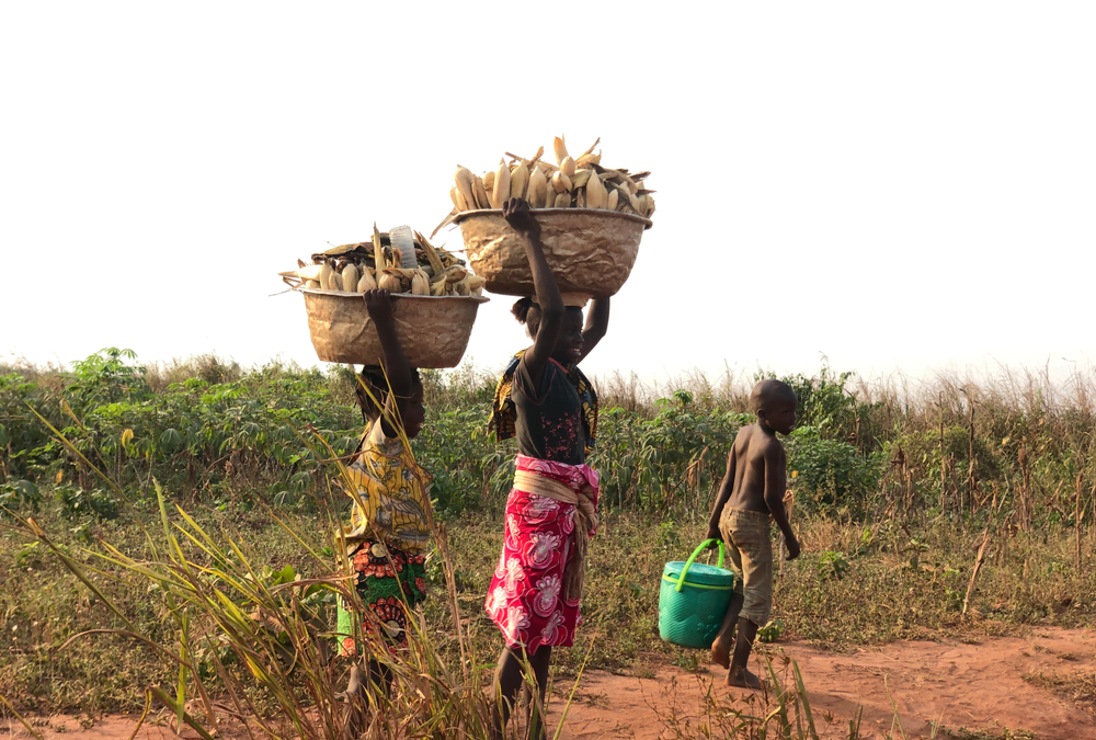 El COVID-19 aumenta el riesgo de trabajo infantil en Benin.