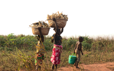 El COVID-19 aumenta el riesgo de trabajo infantil en Benin.