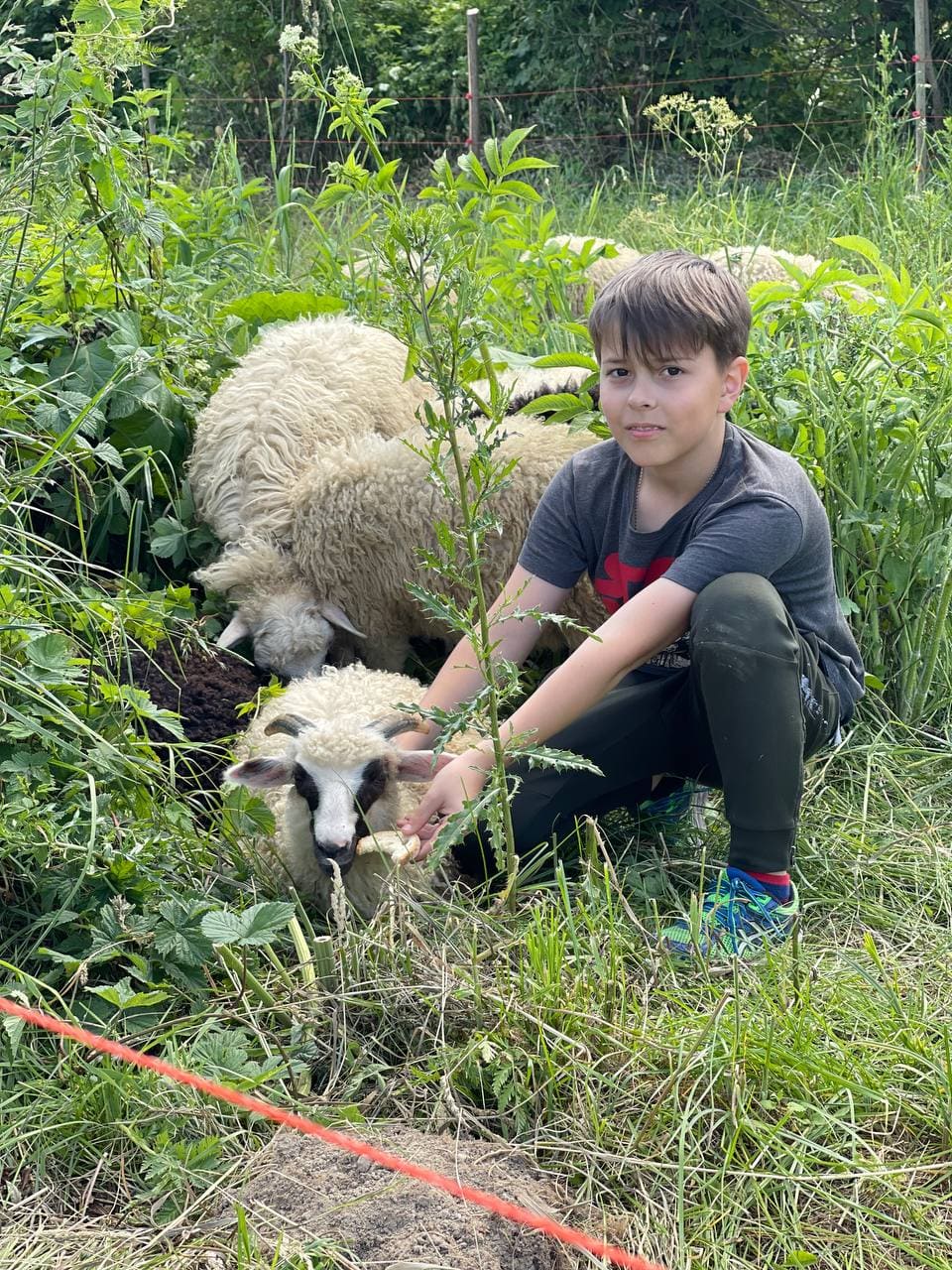 cuidando animales en Ucrania