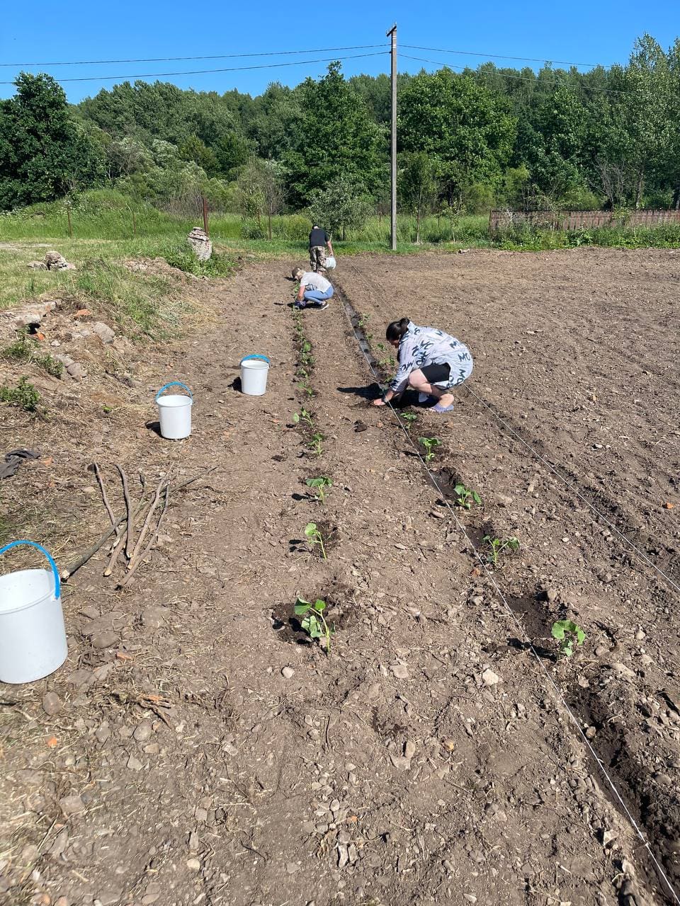 trabajando la tierra en Ucrania