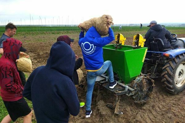 trabajando la tierra en Morshyn