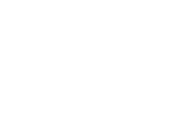 logo vilasira